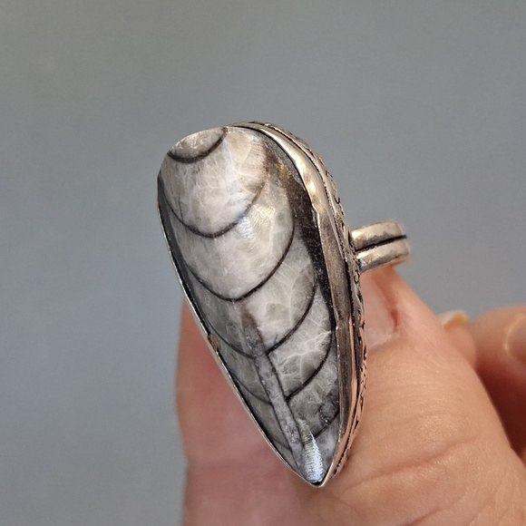 New Orthoceras Fossil 925 Silver Ring. - Picture 11 of 12